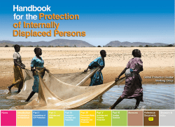 Handbook for the Protection of Internally Displaced Persons