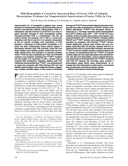 Mild Hemophilia A Caused by Increased Rate of