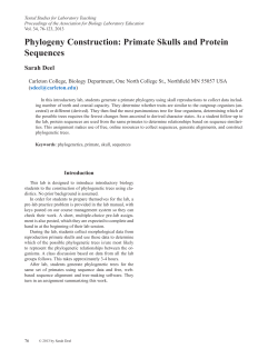 Phylogeny Construction: Primate Skulls and Protein Sequences