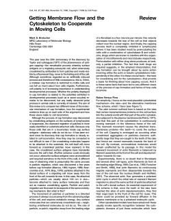 Getting Membrane Flow and the Review Cytoskeleton to Cooperate
