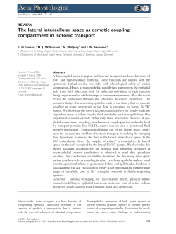 The lateral intercellular space as osmotic coupling compartment in