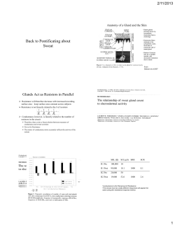 Back to Pontificating about Sweat