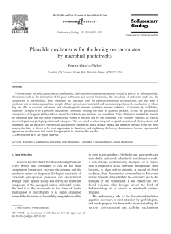 Garc&iacute;a-Pichel, F., 2006. Plausible mechanisms for the boring on