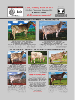 Quality as has become expected!