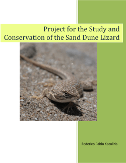 Detailed Final Report - Rufford Small Grants