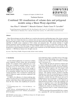Combined 3D visualization of volume data and polygonal models