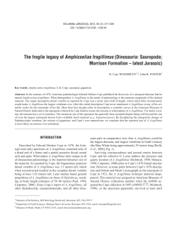The fragile legacy of Amphicoelias fragillimus