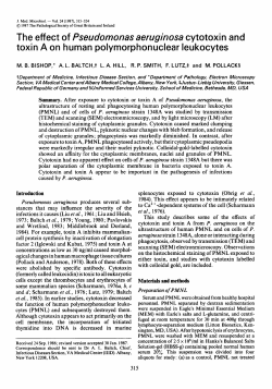 The effect of Pseudomonas aeruginosa cytotoxin and