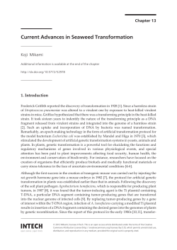 Current Advances in Seaweed Transformation