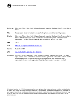 Manninen postsynaptic signal transduction models for long term