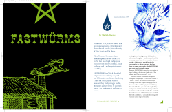 Fastwurms inteview