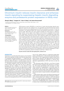 Chromium&ndash;insulin reduces insulin clearance and enhances insulin