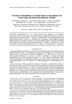 Cell-surface Hydrophobicity of Cundidu Species as