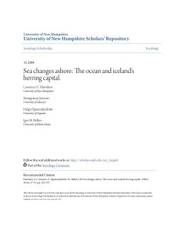 Sea changes ashore: The ocean and iceland`s herring capital.
