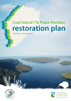 Coal Island (Te Puka-Hereka)