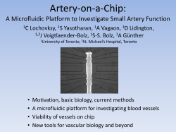 Artery-on-a-Chip
