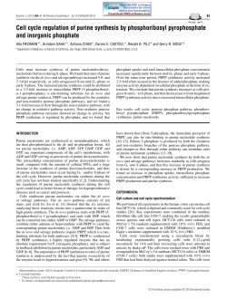 Cell cycle regulation of purine synthesis by phosphoribosyl