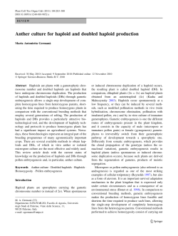 Anther culture for haploid and doubled haploid
