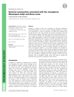 Bacterial communities associated with the ctenophores Mnemiopsis