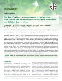 The diversification of terpene emissions in Mediterranean oaks