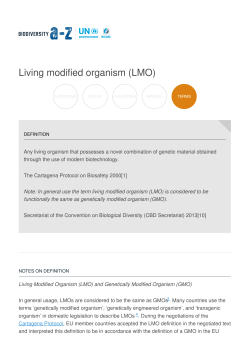 Living modified organism (LMO)