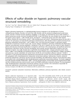 Effects of sulfur dioxide on hypoxic pulmonary vascular