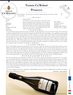 Tenuta Ca`Bolani Prosecco