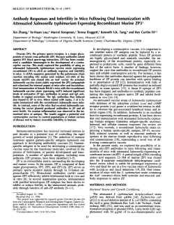 Antibody Responses and Infertility in Mice Following Oral