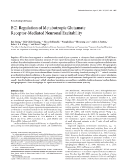 BC1 Regulation of Metabotropic Glutamate Receptor