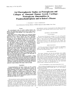 Gel Electrophoretic Studies on Proteoglycans and Collagen