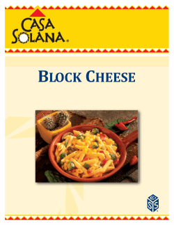 CS Block Cheese Sales Sheet