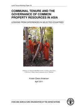 communal tenure and the governance of common property