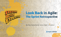 Look Back in Agile: The Sprint Retrospective