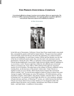 the prison-industrial complex