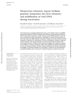 Herpesvirus telomeric repeats facilitate genomic integration
