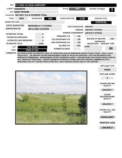 flying cloud airport 446 2-3d winter use critical