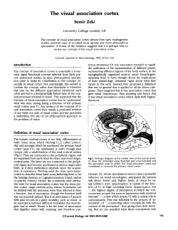 The visual association cortex
