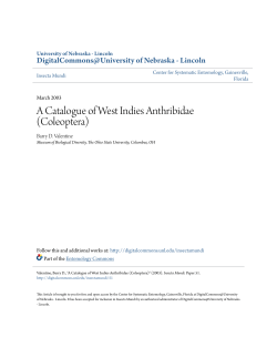 A Catalogue of West Indies Anthribidae (Coleoptera)