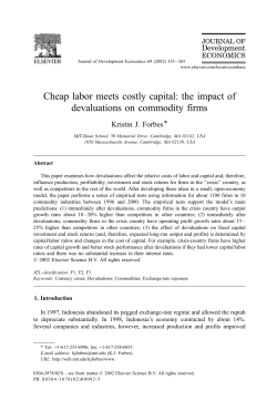 Cheap labor meets costly capital: the impact of