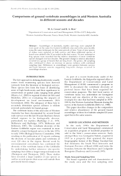 Adec Preview Generated PDF File