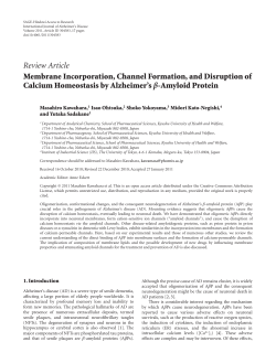 Membrane Incorporation, Channel Formation, and Disruption of