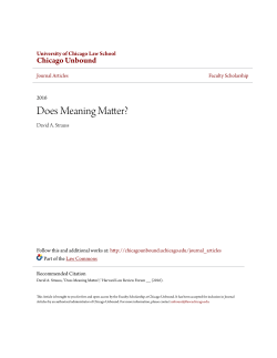 Does Meaning Matter? - Chicago Unbound