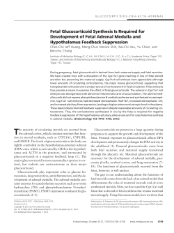Fetal Glucocorticoid Synthesis Is Required for Development of Fetal