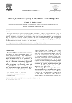 The biogeochemical cycling of phosphorus in marine systems