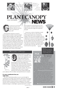 Plant Canopy News 02