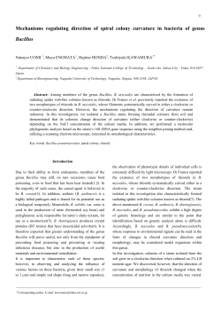 Mechanisms regulating direction of spiral colony curvature in