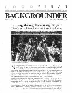 Farming Shrimp, Harvesting Hunger