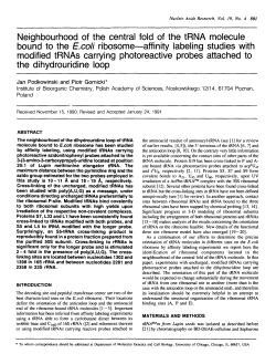 Neighbourhood of the central fold of the tRNA molecule bound to the