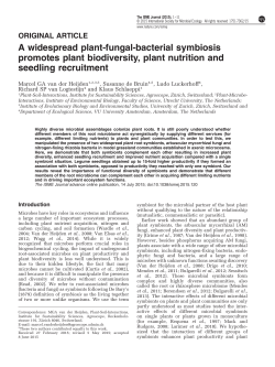 A widespread plant-fungal-bacterial symbiosis promotes plant