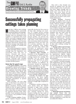 Successfully propagating cuttings takes planning